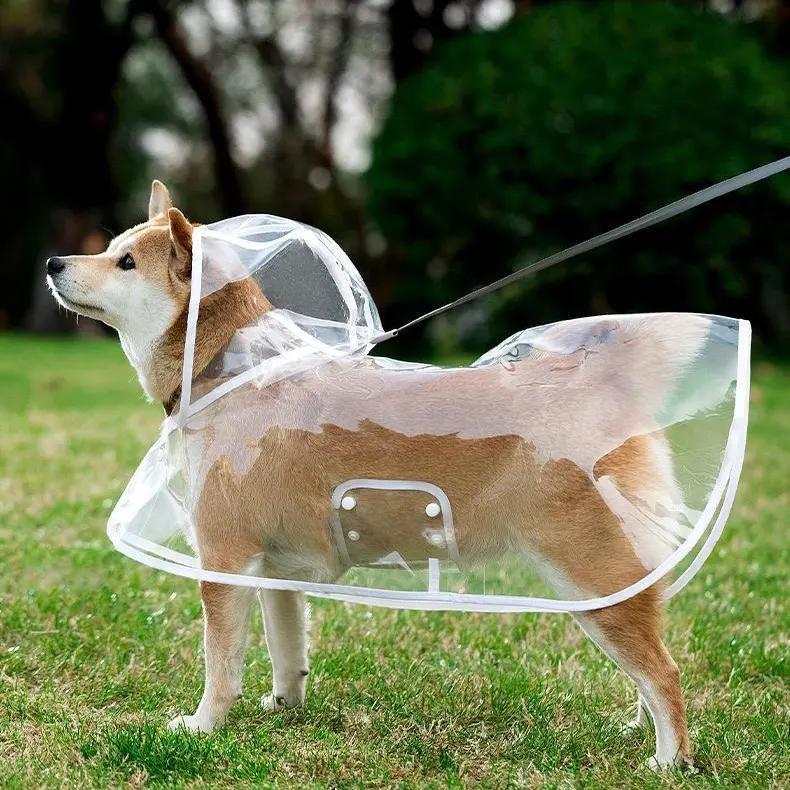 📢Nyheter – 50 % rabatt 🐕 Gjennomsiktig, vanntett regnjakke til hund – hold hunden tørr og synlig på regnfulle turer🌧️